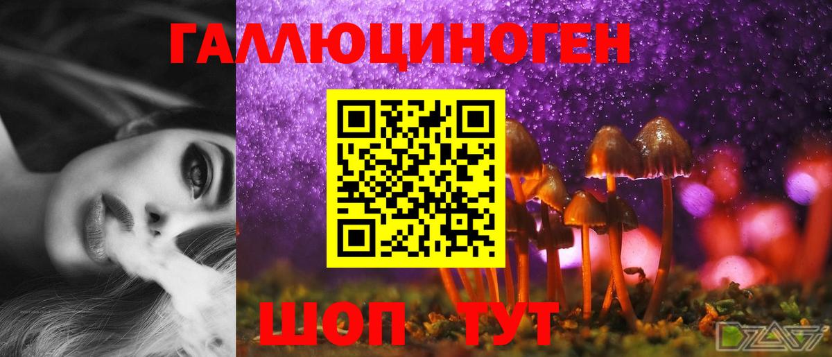 Карталы  Псилоцибиновые грибы Psilocybe  Вход с VPN 